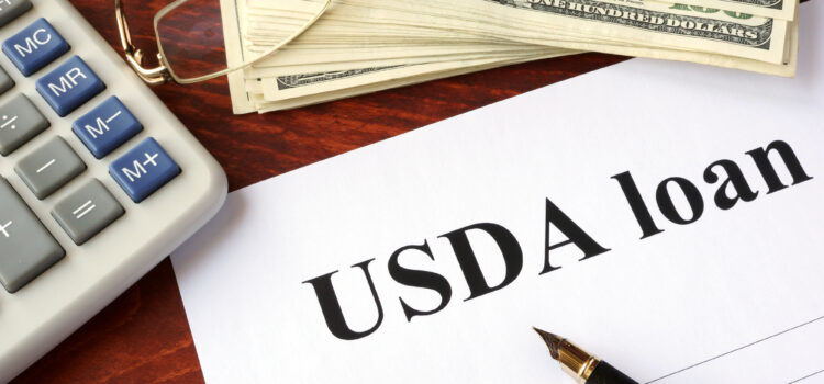 The Complete Guide on How USDA Loans Work